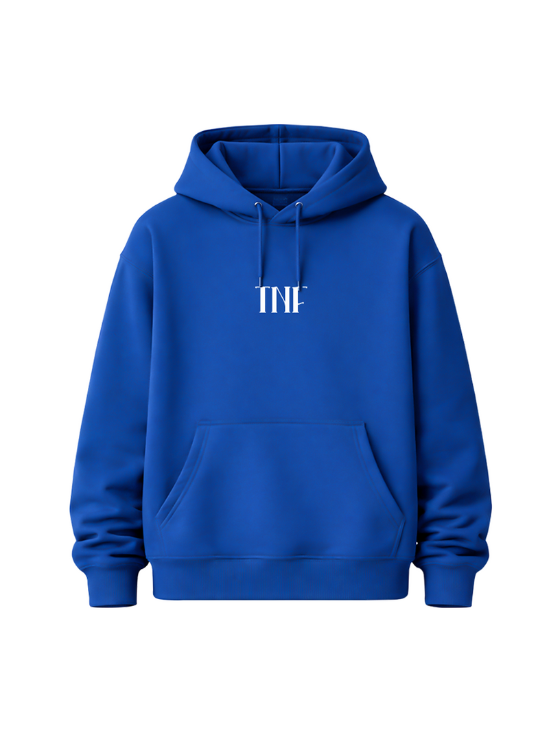 TNF Northern Fade Hoodie